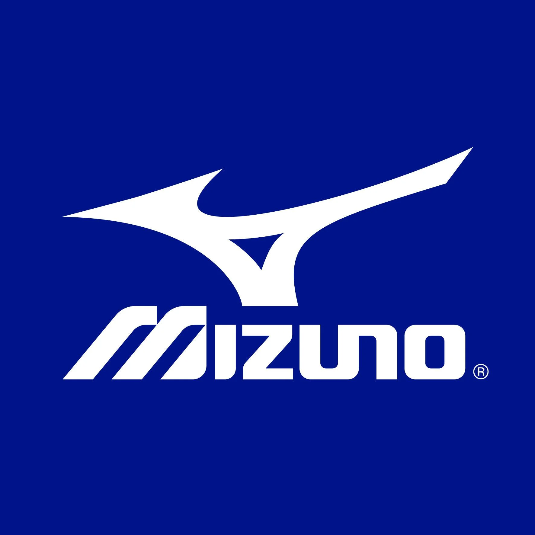 Mizuno karaté